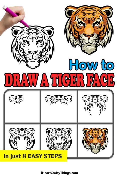 Tiger Face Drawing How To Draw A Tiger Face Step By Step