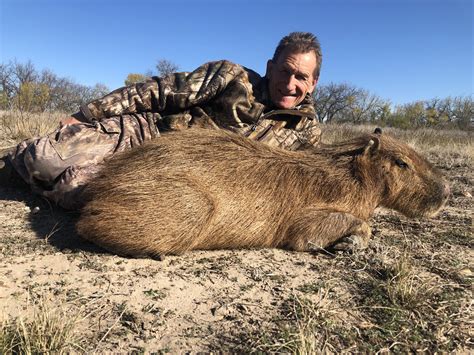 Capybara Pope Brothers Guide Service Hunts In Texas