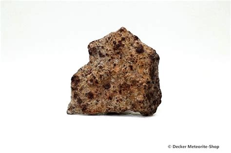 Gold Basin Meteorit 640 G Kaufen Decker Meteorite Shop