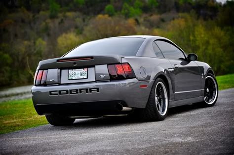 2003 Cobra Best Mustang Ive Ever Owned Ford Mustang Cobra Mustang
