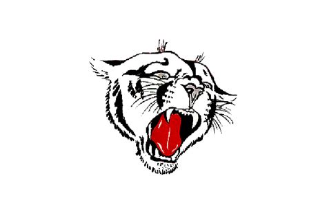 Washington State Cougars Logo And Symbol Meaning History Png Brand
