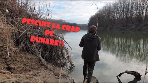 Pescuit Pe Dunare Locuri Ideale Pentru Crap Youtube