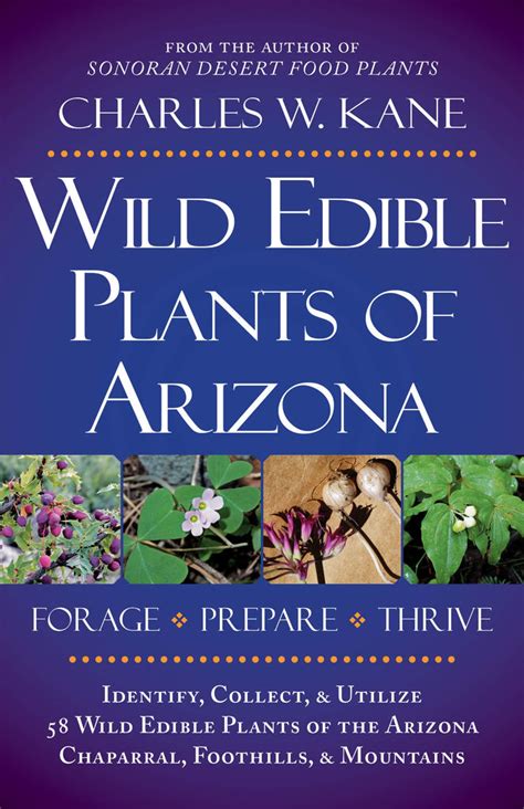 Wild Edible Plants Of Arizona Wide World Maps And More