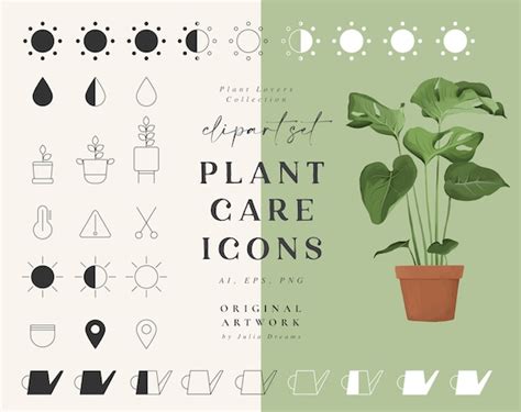 Plant Care Icons Planner Stickers House Plants PNG Etsy