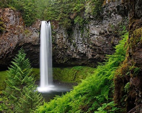 This spot is in a dense forest of hemlock, cedar, fir, and maple, and is just north of the columbia river. Waterfalls | Washington waterfalls, Beautiful waterfalls ...