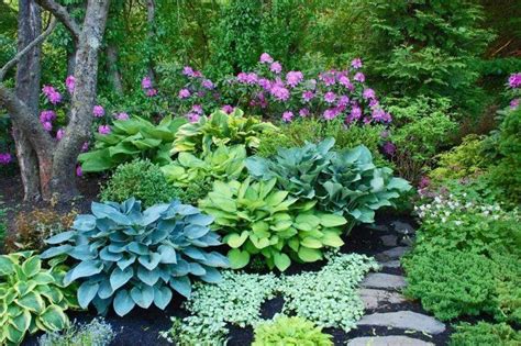 22 Best Design Ideas For Hosta Gardens Shade Garden Plants Hosta