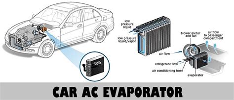 Dust, hair, and moisture on the ac filter encourage mildew growth, which can cause a musty odor when the air conditioner runs. Mildew Smell in Car AC