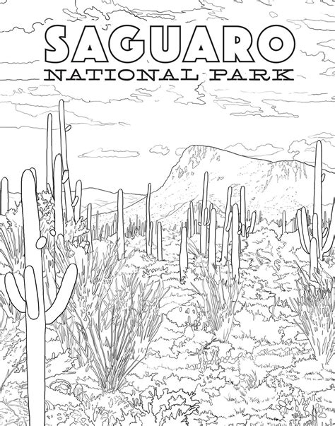 The National Parks Poster Coloring Book | Book by Ian Shive | Official