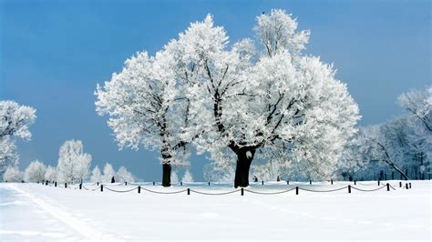 1600x900 Winter Wallpapers Top Free 1600x900 Winter Backgrounds