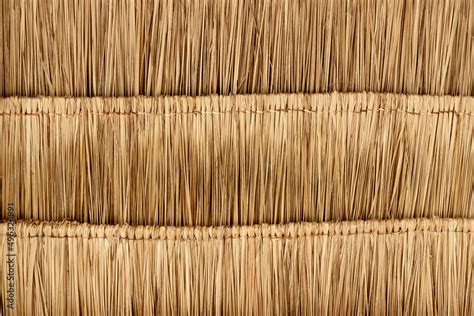 Under View Of Step Dried Nipa Palm Leaf That Is Used To Make A Roof