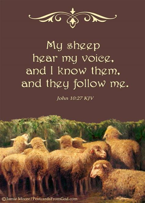 My Sheep Hear My Voice Heeearing With Heart