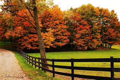 Lovely Fall Scenery Backgrounds Free Download