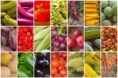 Fruit And Vegetable Collage Photograph By Ezume Images Pixels
