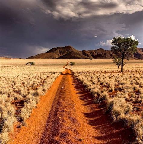 Hermoso Paisaje En El Desierto De Namib Costa De Namibia África