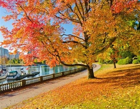 The 4 Best Places To See Fall Foliage In Vancouver Page 2