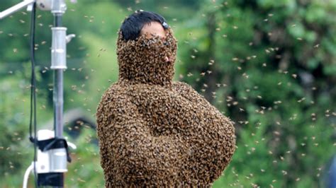 How To Get Thousands Of Bees To Land On You In A Beard Like Fashion Mental Floss