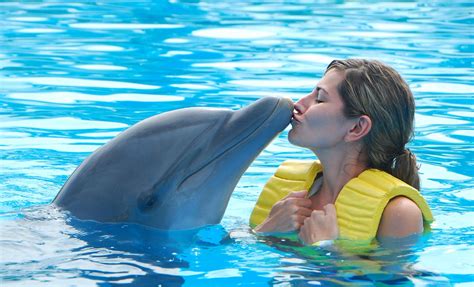 Dolphin Encounter And Exclusive Island Excursion In Nassau