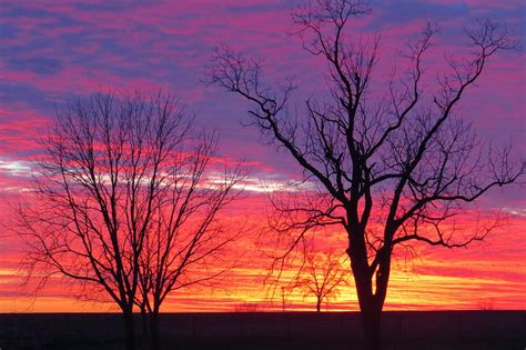 Sunset Behind Trees Photograph By Jeanette Oberholtzer Fine Art America