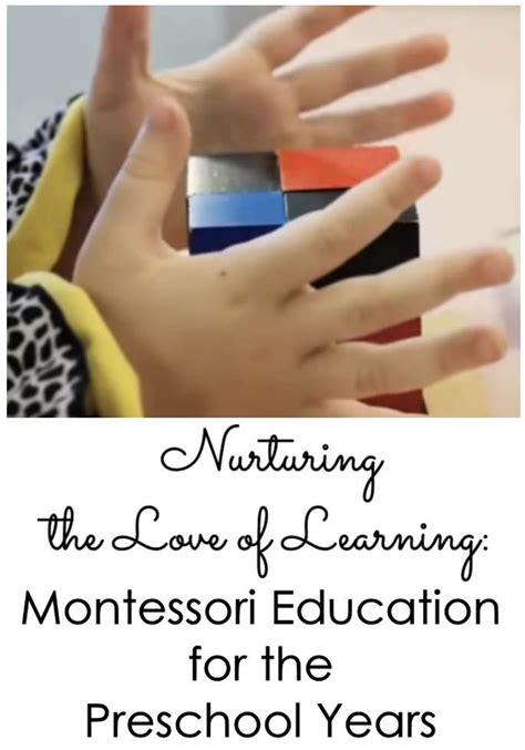 Nurturing The Love Of Learning Montessori Education For The Early