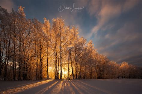 Frozen Morning Lapland Finland By Didier Nature Landscape