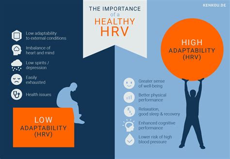 Heart Rate Variability Hrv Infographic Hrv Autonomic Nervous System