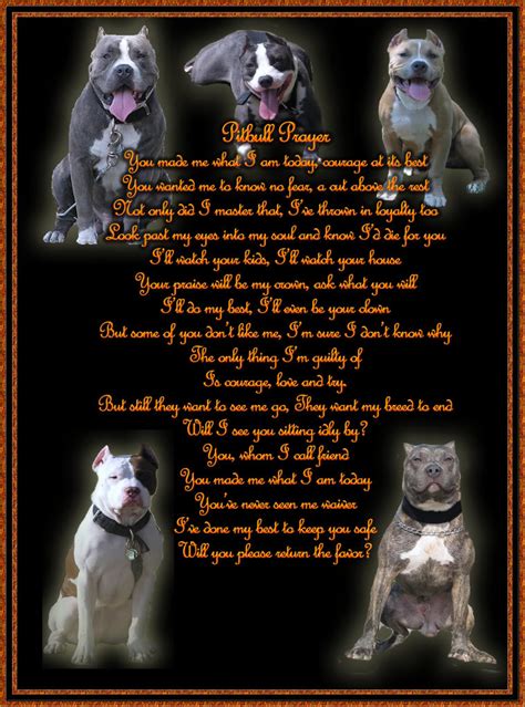 Pitbull Poems And Quotes Quotesgram