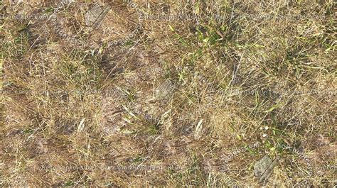 Dry Grass Texture Seamless 17329