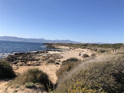 Sex Zwischen Unbekannten Auf Strand In Palma De Mallorca Moniert
