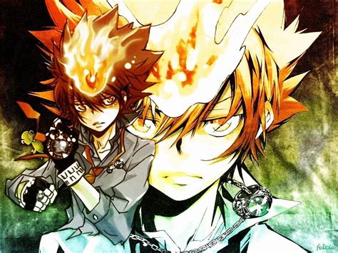 Katekyo Hitman Reborn Gloves Sawada Tsunayoshi Anime Tsuna Dying Will