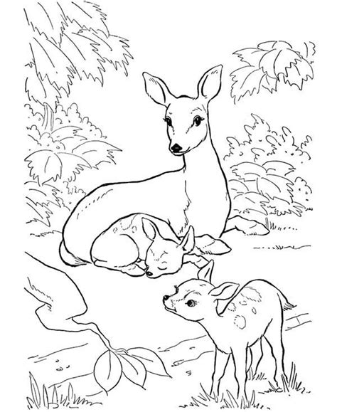 Select from 35318 printable crafts of cartoons, nature, animals, bible and many more. Deer, : Deer Mother and Her Two Fawns Coloring Page | deer | Pinterest | Pyrography patterns ...