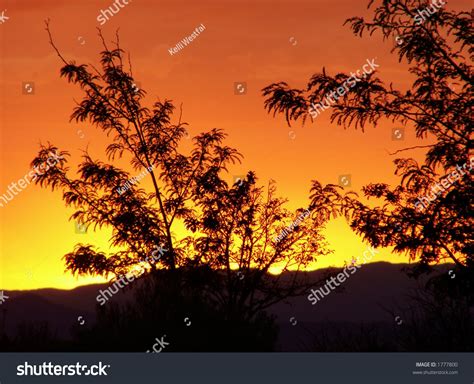 Orange Desert Sunset Stock Photo 1777800 Shutterstock