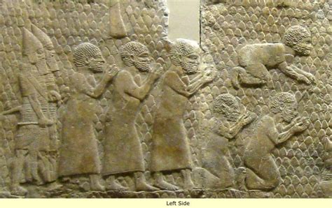 Black Canaan Solomon To The Assyrians Ancient World History African