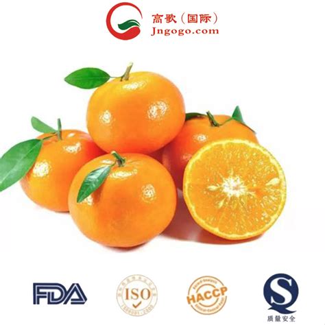 Premium High Quality Clean Farming Attractive Price Orange