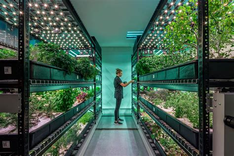 Is Vertical Farming Really The Future Of Agriculture Kqlx Am