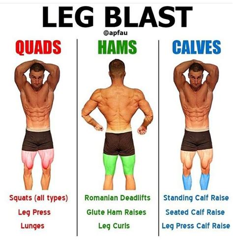 Pin By Qadir Inc On Fitness Leg Workout Workout Gym Workout For