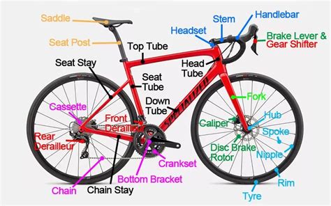 All Parts Of A Bike A Complete Guide For Beginners Bestwheelset