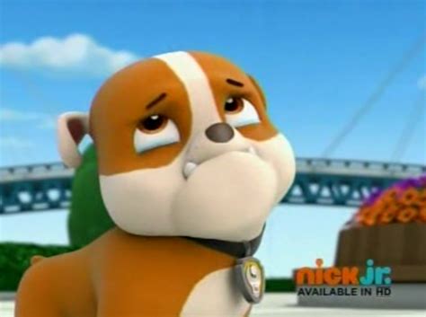 Image Rubble About To Cry 1png Paw Patrol Fanon Wiki Fandom