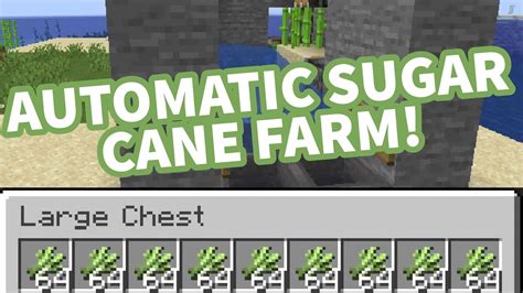 Growing sugar cane from seeds. Automatic Sugar Cane Farm | Minecraft Tutorial! - YouTube