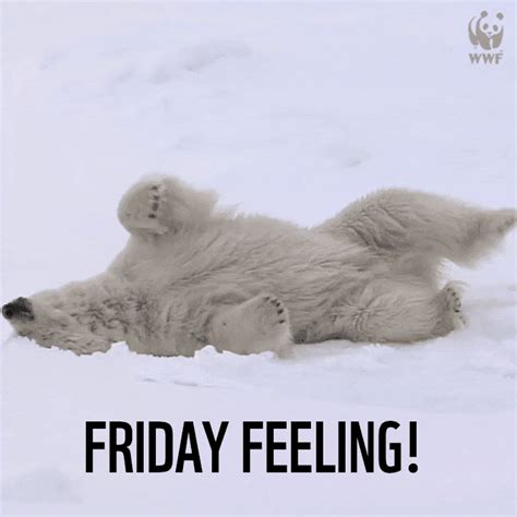 Friday Feeling GIFs Find Share On GIPHY