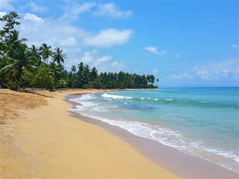 Best Beaches In The Dominican Republic Lonely Planet
