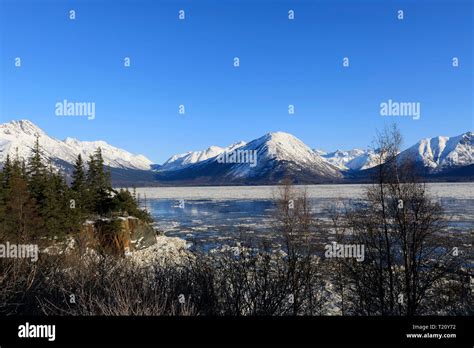 Turnagain Arm And Chugach Range From Sunrise Alaska Stock Photo Alamy