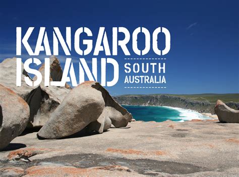 Bazar FotogrÁfico De Haglita Kangaroo Island Sur Australia