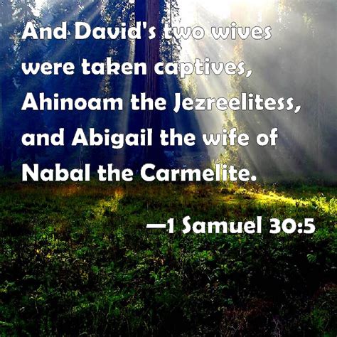 1 Samuel 305 And Davids Two Wives Were Taken Captives Ahinoam The