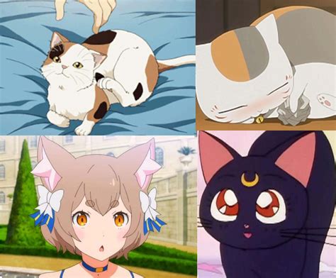 Download A Collage Of Anime Cats With Different Faces