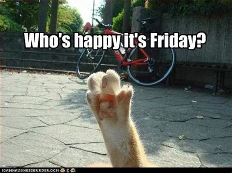 Whos Happy Its Friday Funny Cat Memes Funny Animal Images Silly Cats