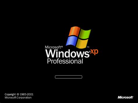 File Windows XP Professional Bootscreen Gif BetaArchive Wiki