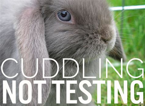 China's Demand for Animal Testing in Cosmetics and the Brands that Are