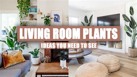 55 Beautiful Living Room Plants Decor Ideas Youtube