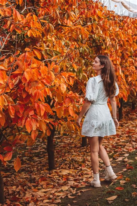 Autumn In Perth Locals Guide To The Must See Spots 2024