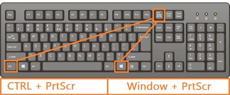 Step 4 crop the canvas to remove unwanted part. How to take a screenshot on a Dell Laptop (with images) | HubsAdda